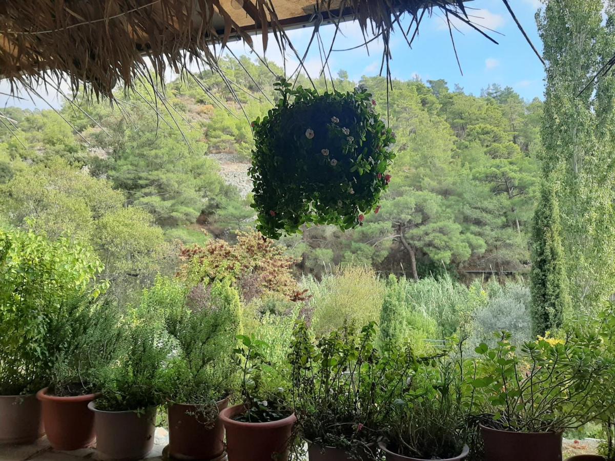 Blue Cottage Apsiou 외부 사진