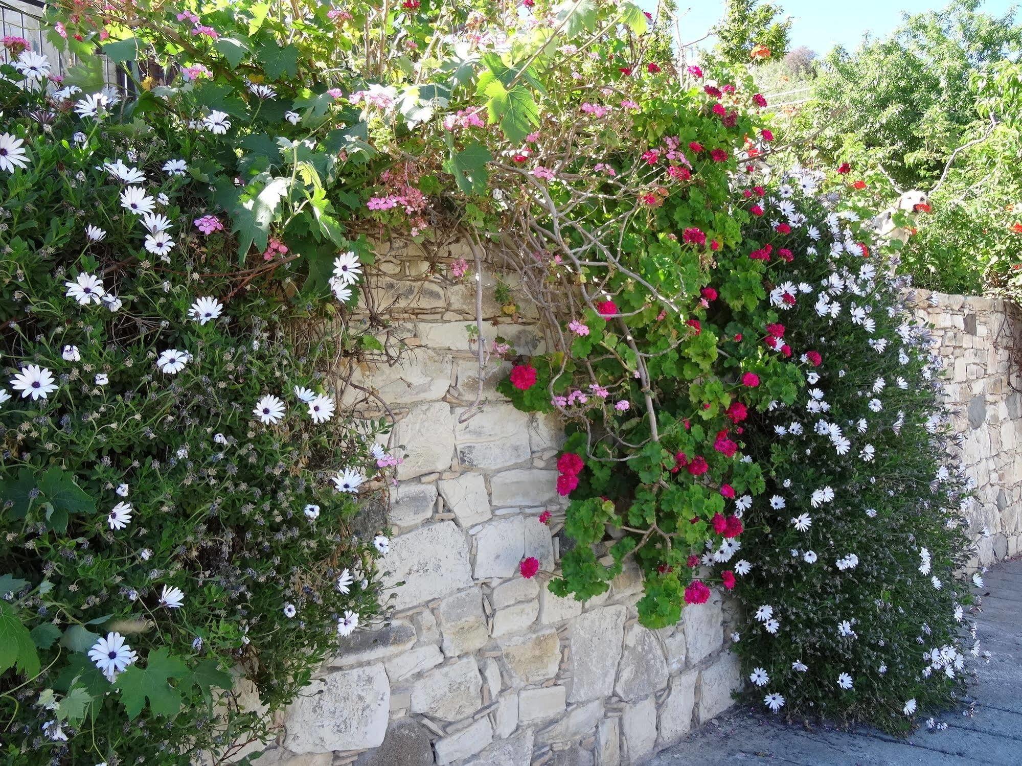 Blue Cottage Apsiou 외부 사진